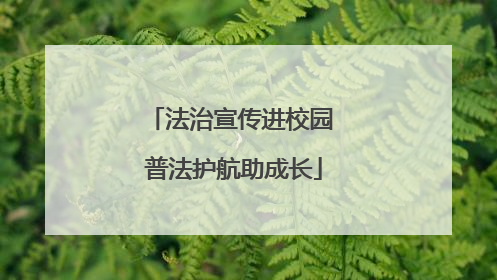 法治宣传进校园 普法护航助成长